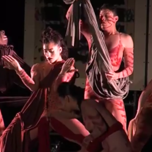 Dancing Earth Creations