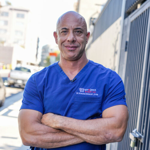 Dr. Kwane Stewart